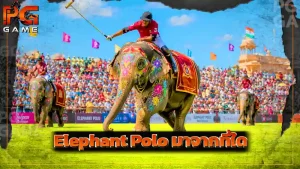 Elephant Polo มาจากที่ใด
