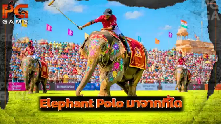 Elephant Polo มาจากที่ใด