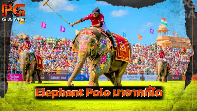 Elephant Polo มาจากที่ใด