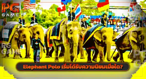 Elephant Polo มาจากที่ใด