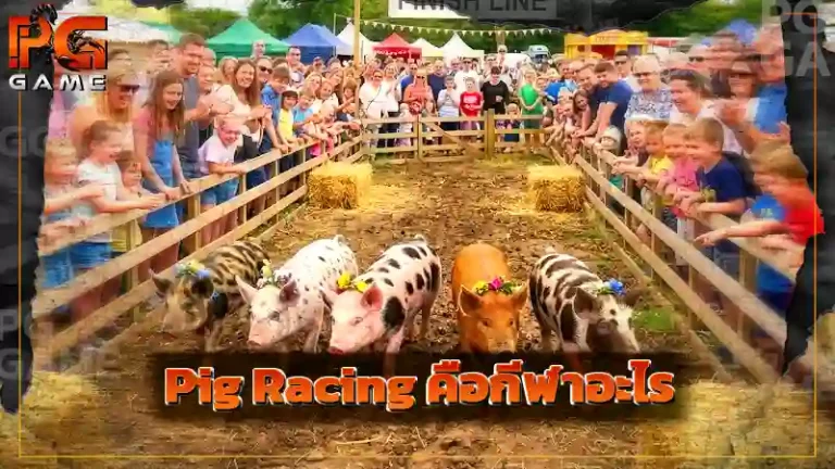 Pig Racing คือกีฬาอะไร