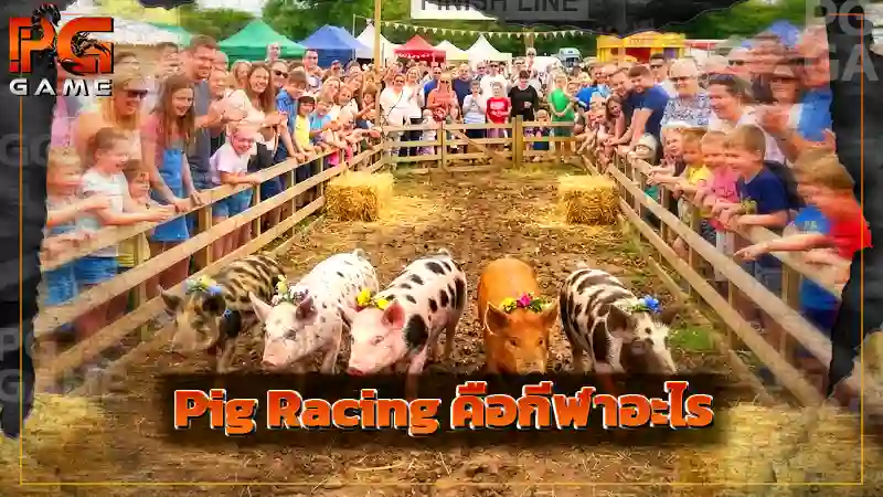 Pig Racing คือกีฬาอะไร