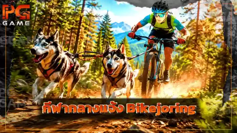 กีฬากลางแจ้ง Bikejoring