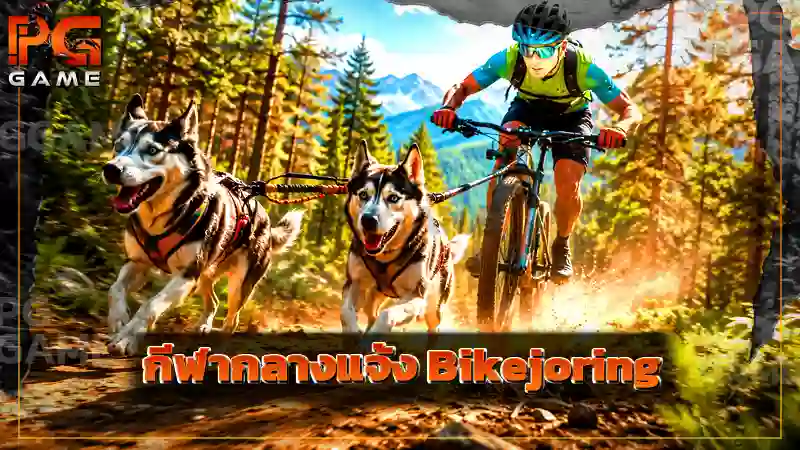 กีฬากลางแจ้ง Bikejoring