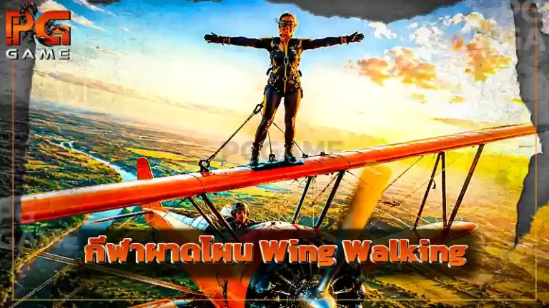 กีฬาผาดโผน Wing Walking