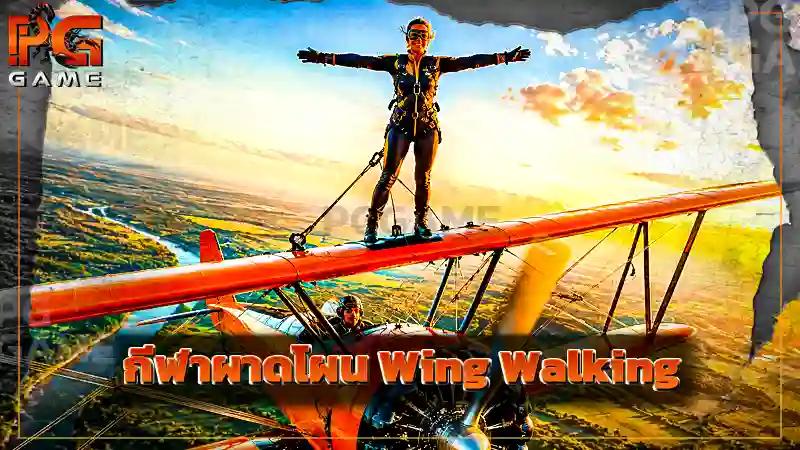 กีฬาผาดโผน Wing Walking