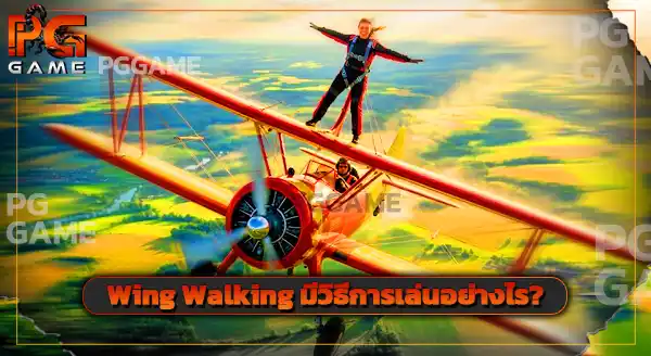 กีฬาผาดโผน Wing Walking