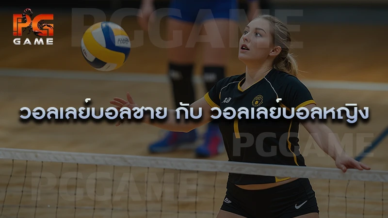 วอลเลย์บอลชาย กับ วอลเลย์บอลหญิง