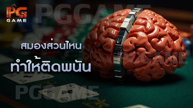 สมองส่วนไหน ทำให้ติดพนัน