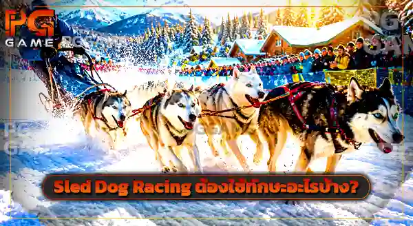 กีฬา Sled Dog Racing